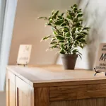 Schmidt Apartment *