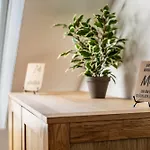 Schmidt Apartment *
